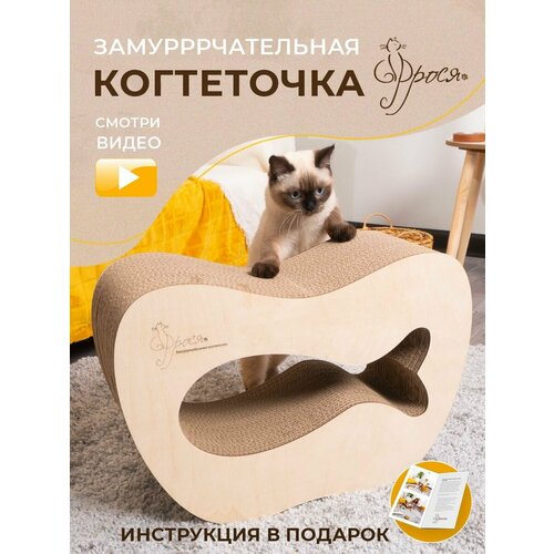 Когтеточка для кошки, картонная Аквариум