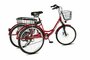 Электровелосипед трехколесные для взрослых РВЗ "Чемпион", 350 12, 24", красный