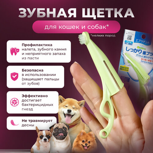 Зубная щетка для собак мелких пород анатомическая Japan Premium Pet с ручкой для снятия налета, цвет зеленый.
