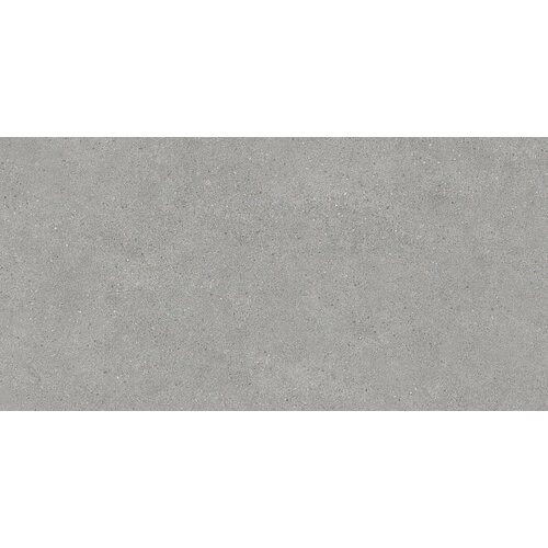 Плитка из керамогранита KERAMA MARAZZI DL500800R Фондамента серый светлый обрезной для стен и пола, универсально 60x119,5 (цена за 1.434 м2) плитка из керамогранита kerama marazzi dl601320r фондамента серый темный обрезной для стен и пола универсально 60x60 цена за коробку 1 8 м2