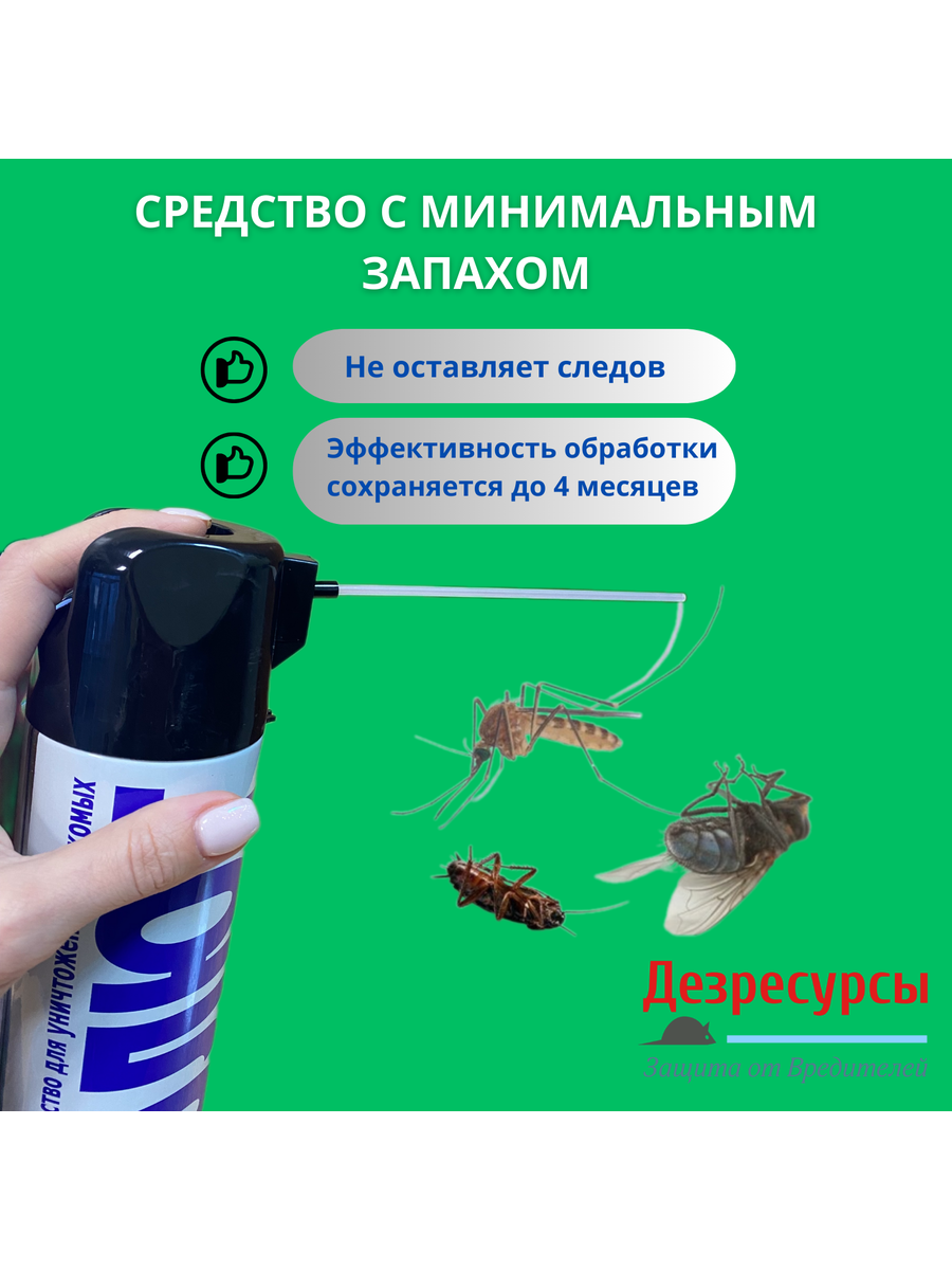 Средство от тараканов, постельных клопов, блох, мух и муравьев, аэрозоль Абсолют лак с наконечником, 600 мл — фото 1