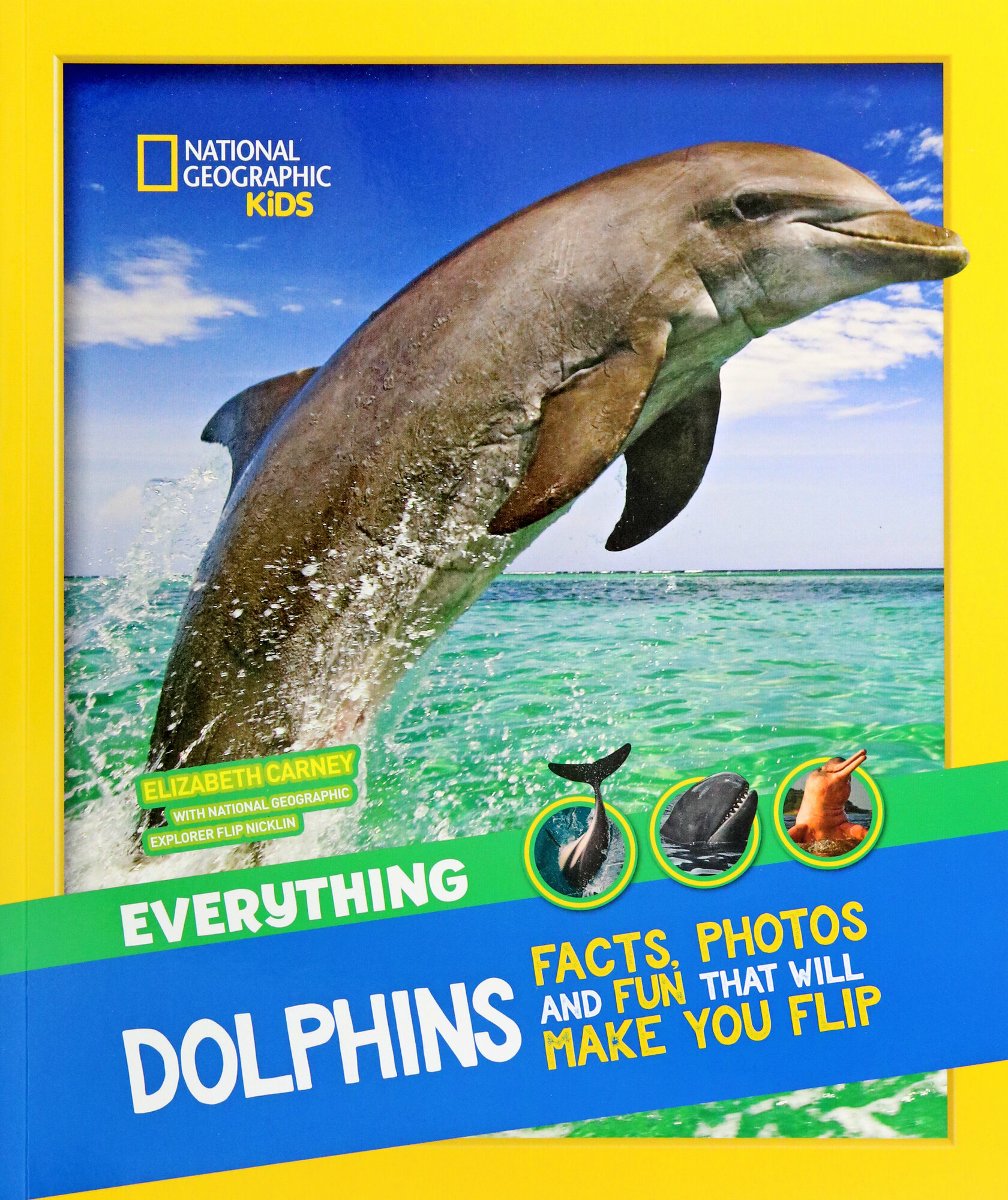 Dolphins. Facts, Photos adn Fun That Will Make You Flip - фото №2