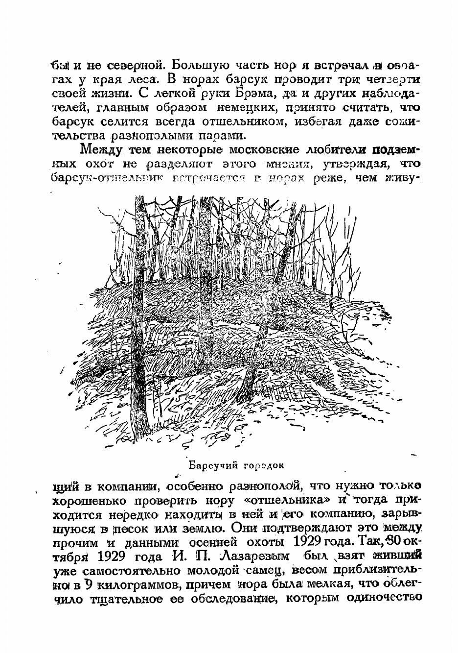 Книга Охота на барсука (Каверзнев Валерий Николаевич) - фото №6