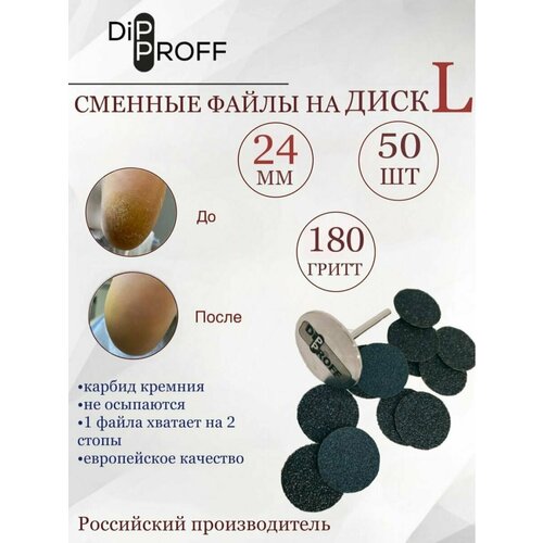 Сменный файл Dipproff для диска L