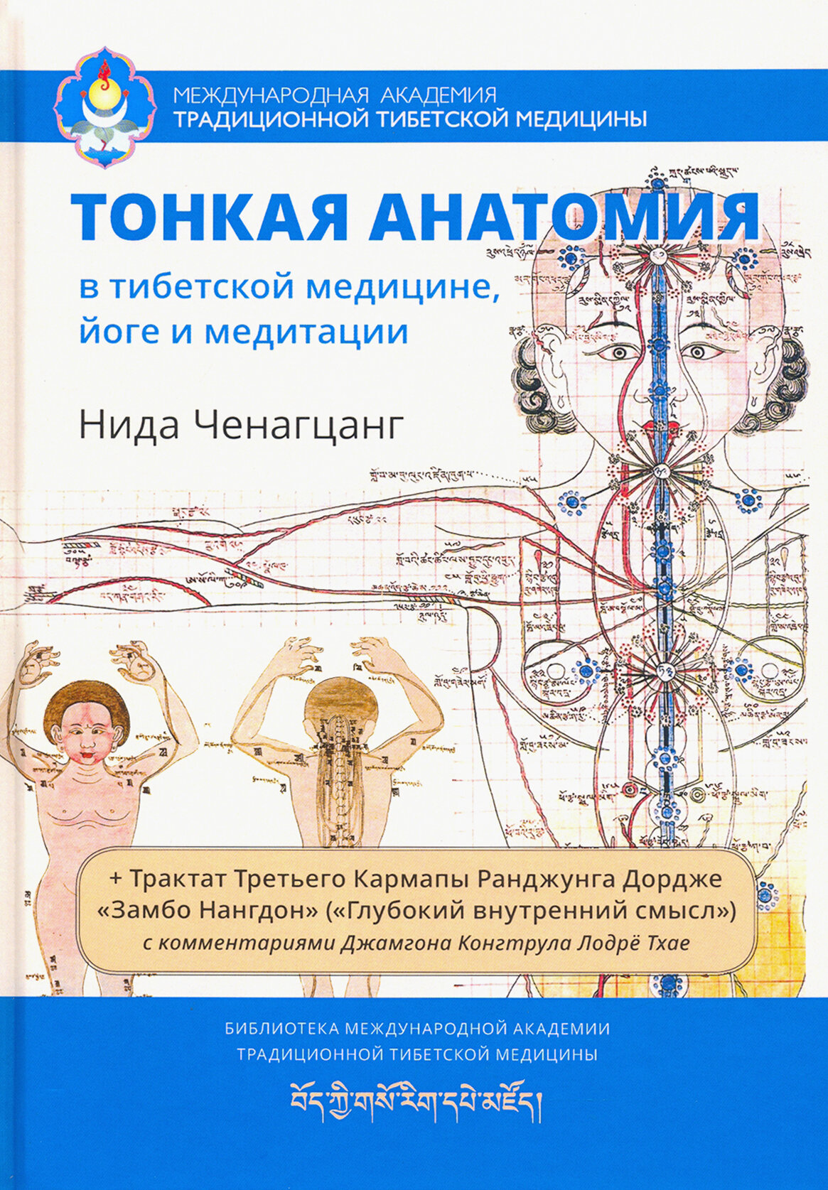 Тонкая анатомия в тибетской медицине, йоге и медит - фото №3