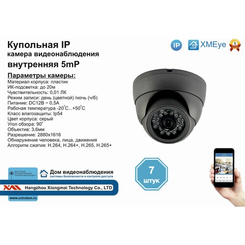 (7шт) DVS300IP5MP. Внутренняя IP камера 5мП с ИК до 20м.