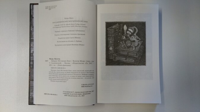 Лабиринт Мечтающих Книг (Садовникова Т.В. (переводчик), Моэрс Вальтер , Моэрс Вальтер (иллюстратор)) - фото №18