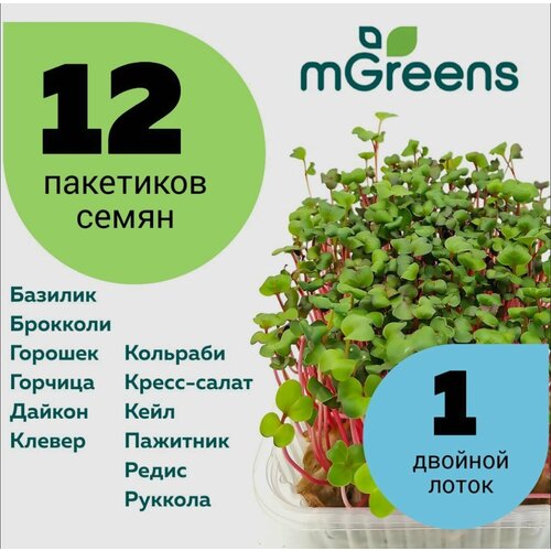 12 пакетиков семян микрозелени + 1 лоток