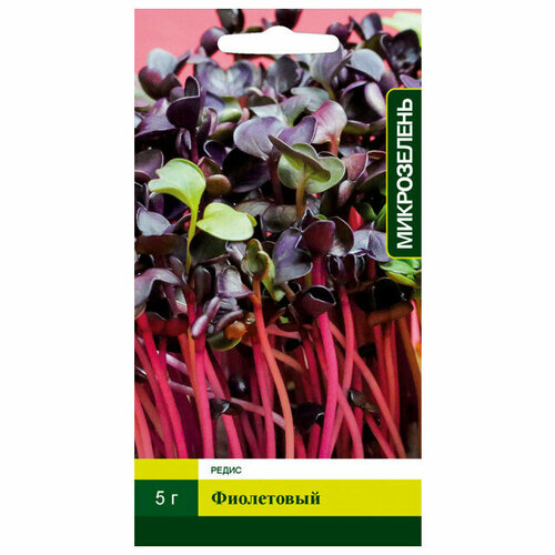 Семена микрозелень редис фиолетовый 5г