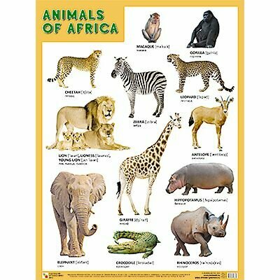 Обучающий плакат Мозаика-Синтез Animals of Afrika. На английском языке. 44,5х59,5 см