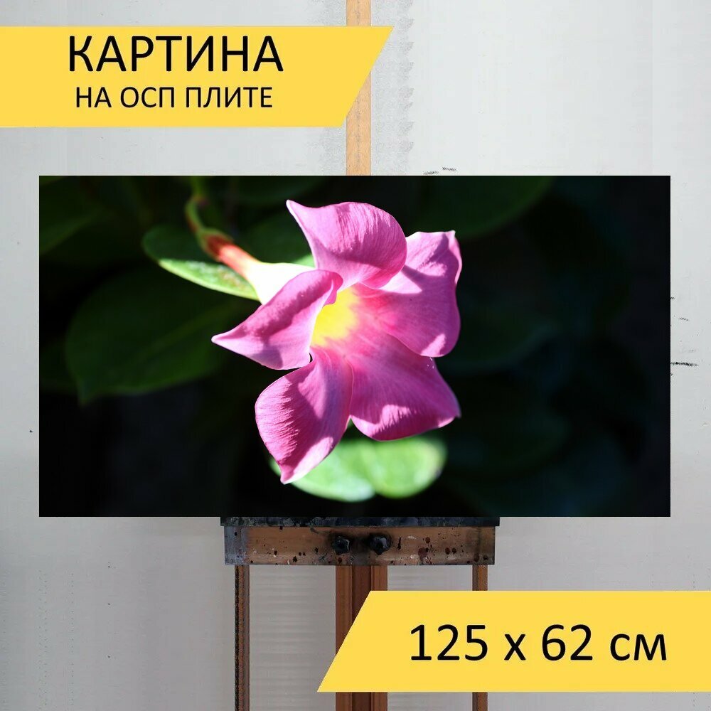 Картина на ОСП 125х62 см. 