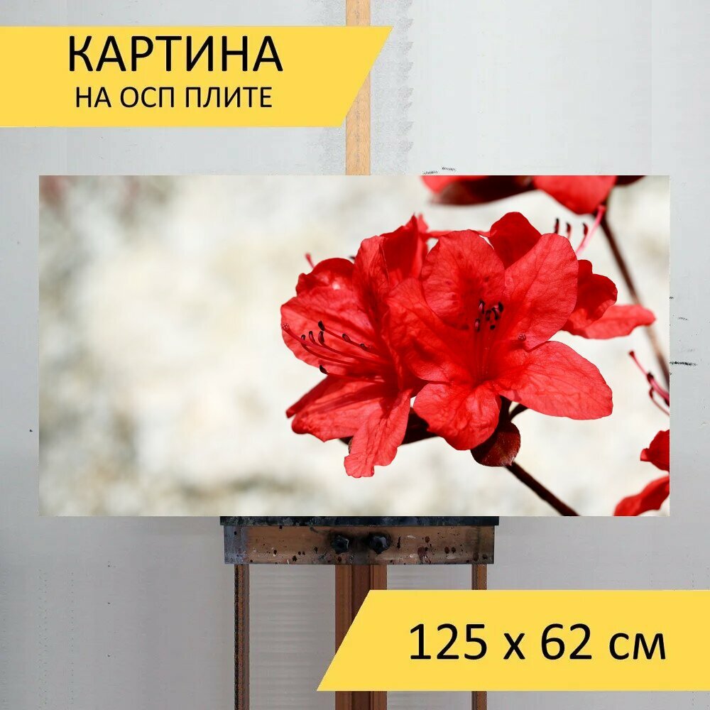 Картина на ОСП 125х62 см. 