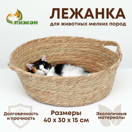 Экологичный лежак для животных (хлопок+рогоз), 40 х 30 х 15 см,