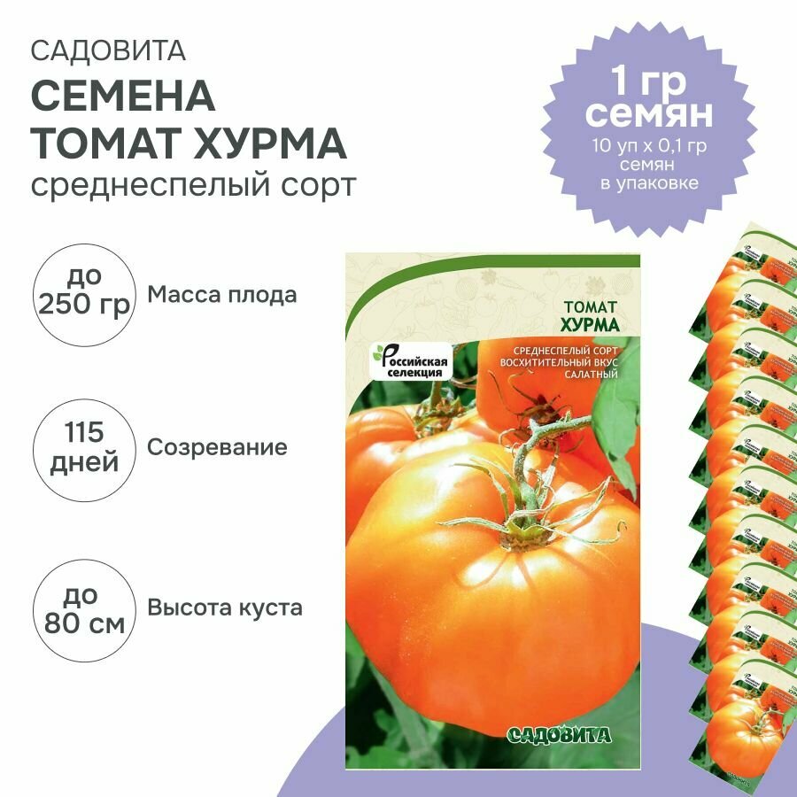 Семена низкорослых оранжевых томатов Хурма