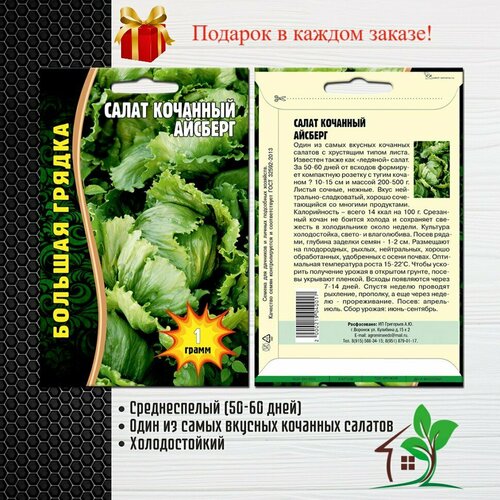 Салат кочанный Айсберг (2 упаковки)