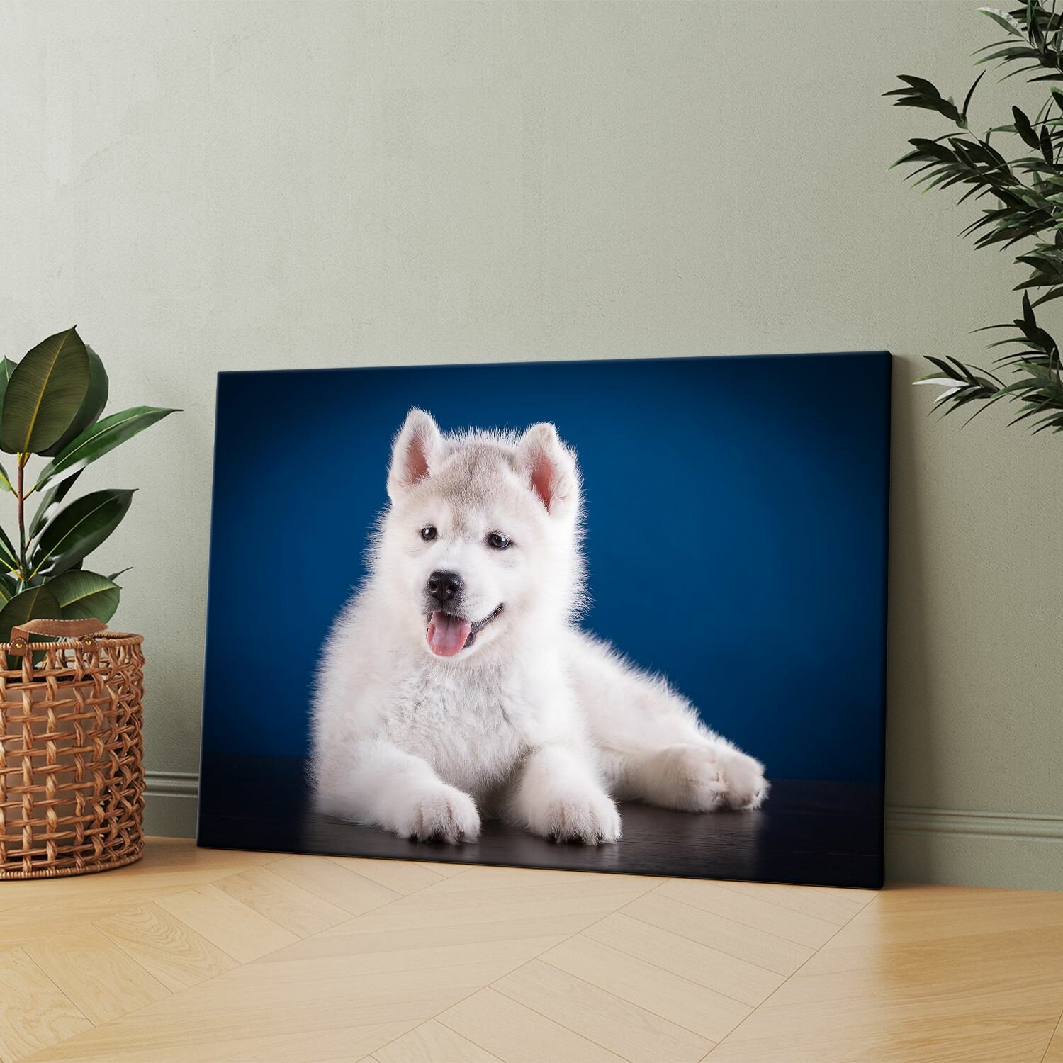 Картина на холсте (Белый щенок хаски и щенки сибирской хаски) 30x40 см. Интерьерная на стену.