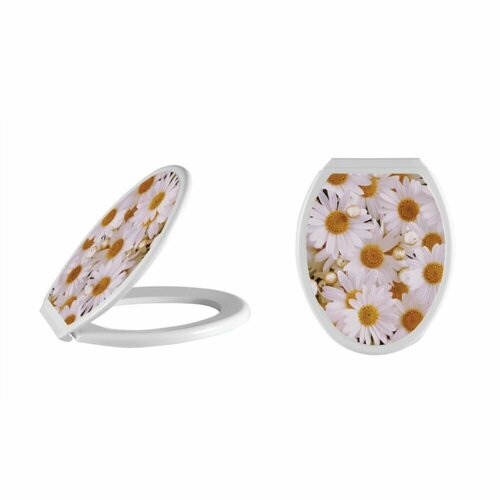 Сиденье для унитаза с рисунком Ромашки 1290₽