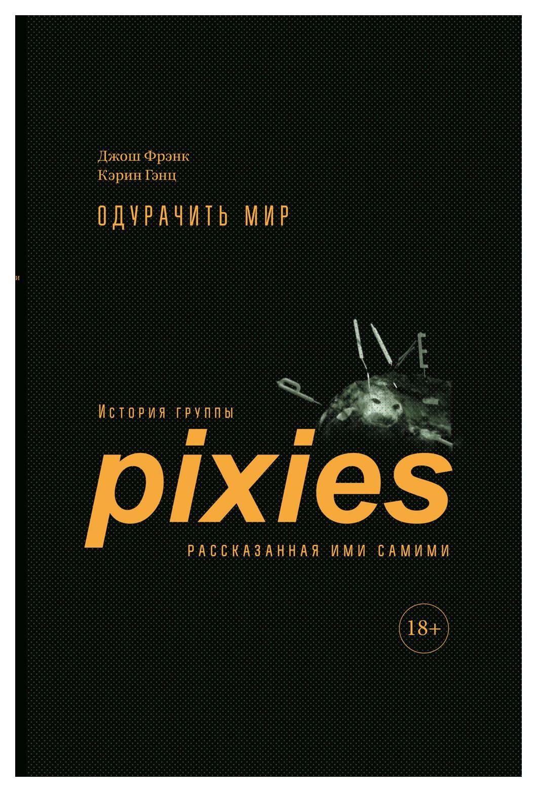 Одурачить мир. История группы Pixies, рассказанная ими самими - фото №3