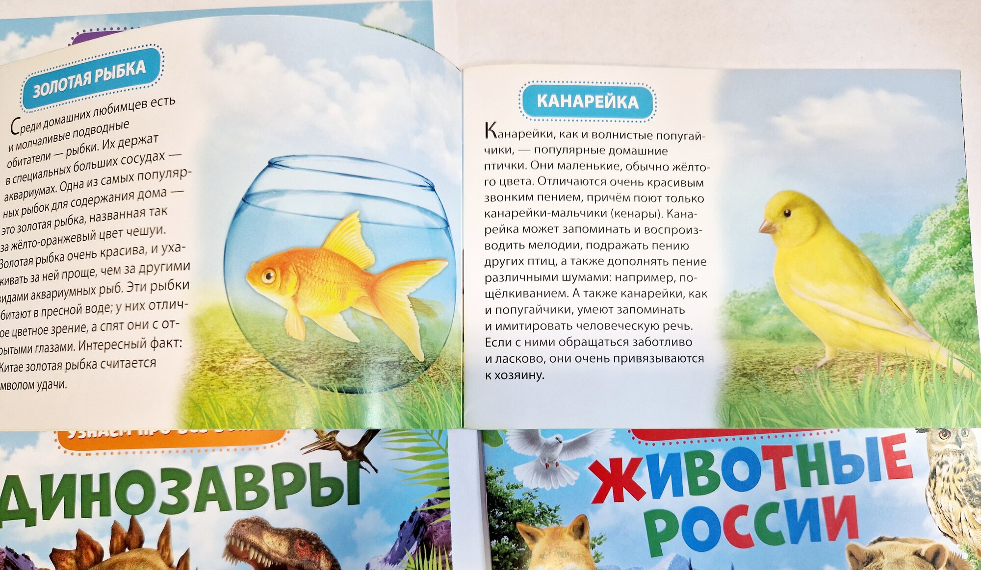 Комплект из 4 книжек в дорогу "Узнаём про всё вокруг" 0+ Буква Ленд