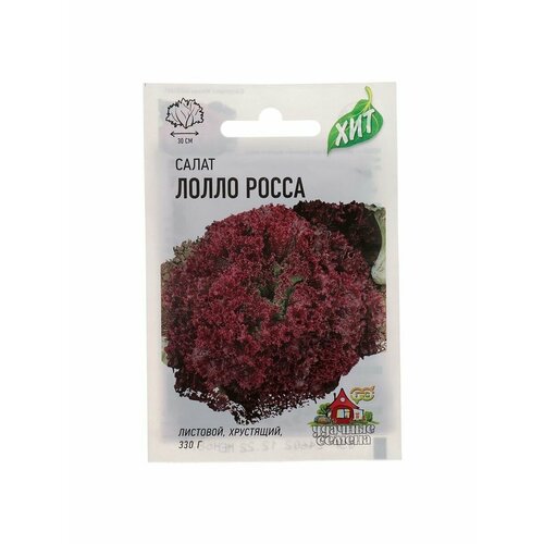 Семена Салат Лолло Росса листовой, бордовый, 0,5 г салат лолло росса 0 5 гр б п