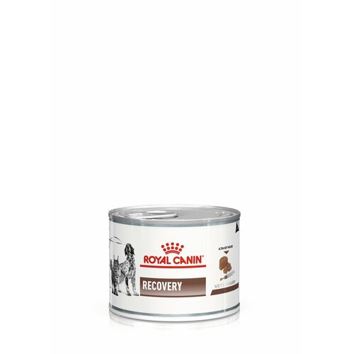 Влажный корм для собак Royal Canin Recovery в период восстановления после операции, 6 шт х 195 г