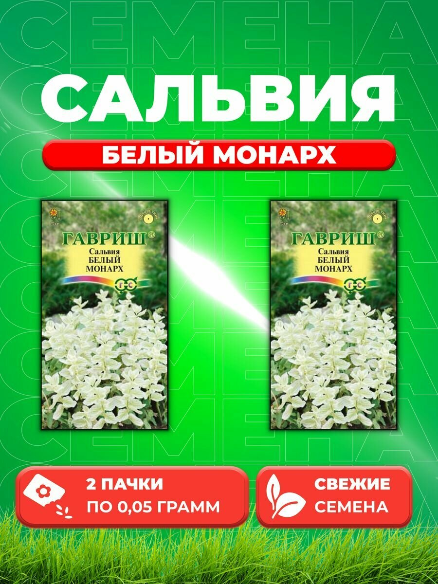 Сальвия Белый монарх 005г Гавриш (2уп)