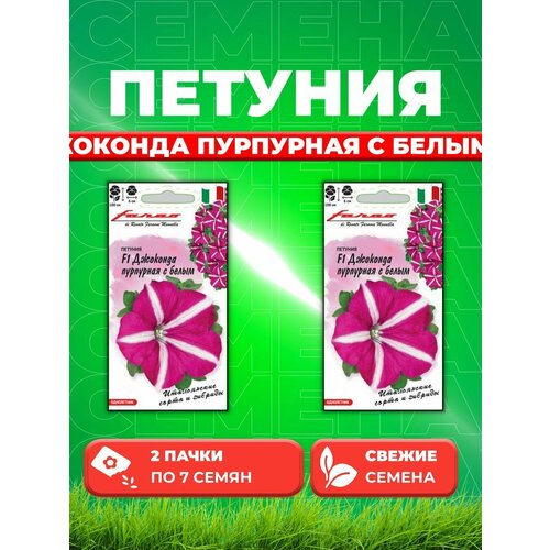 Петуния ампельная Джоконда пурпурная с белым F1, 7шт(2уп) семена петуния джоконда f1 пурпурная 7шт цп