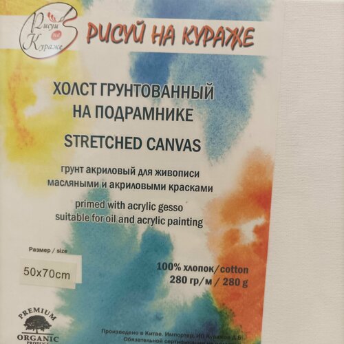 Холст грунтованный 5070 см на подрамнике хлопок 280гм2 с клиньями Рисуй на кураже 1544₽