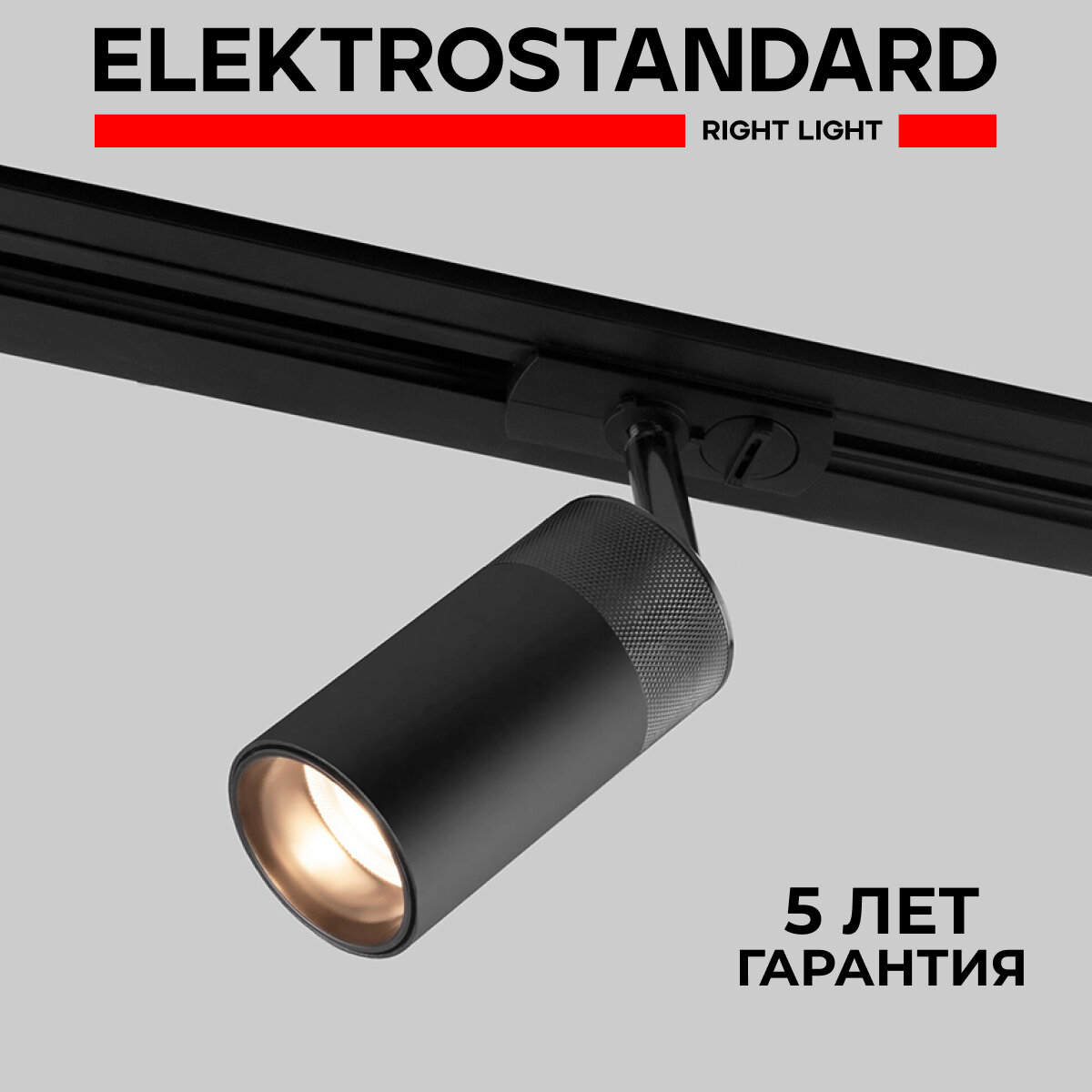 Трековый однофазный светодиодный светильник Elektrostandard Basic System Riffe 85512/01, 9 Вт, 4200 K, цвет черный