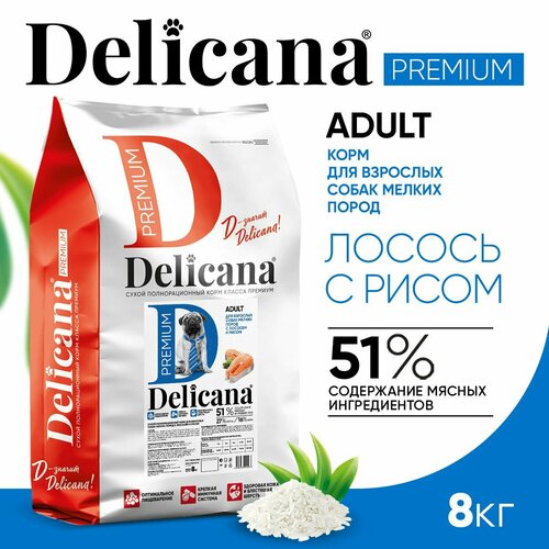 DELICANA Корм сухой для собак мелких пород Лосось с рисом 8 кг