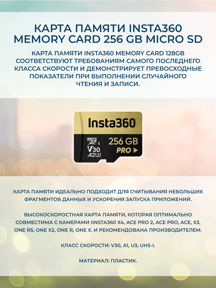 Карта памяти для insta360 256 GB Micro SD — фото 1