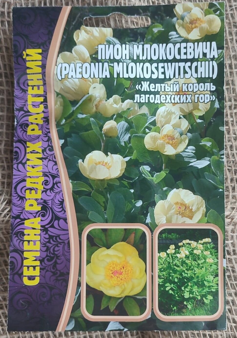 Пион Млокосевича "Желтый король.", семена 3 штуки