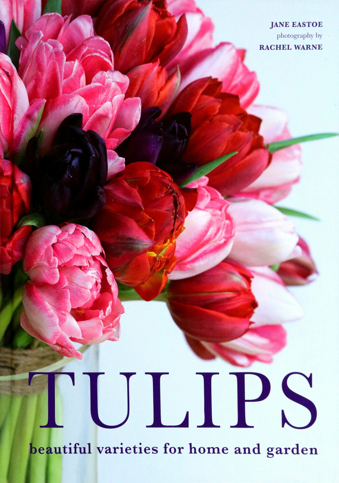 Tulips. Beautiful varieties for home and garden - фото №1