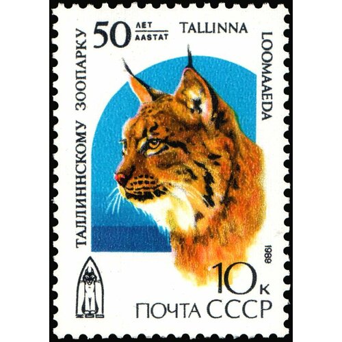 Почтовые марки СССР 1989г. 50-летие Таллинского зоопарка Кошки MNH