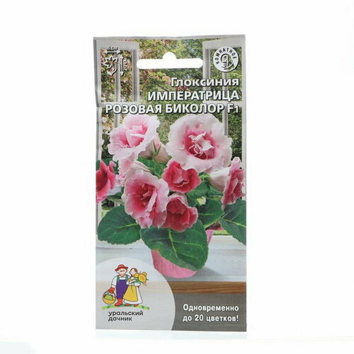 Семена Цветов Глоксиния Императрица розовая биколор, 6 шт