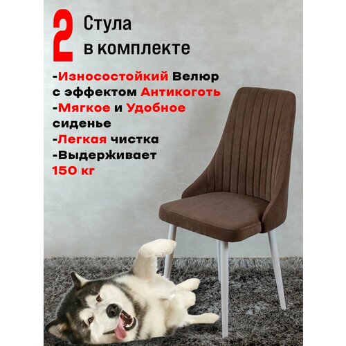 Комплект стульев для кухни Руссо, 2 шт, Шоколад