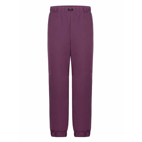 фото Брюки stylish amadeo размер 116, фиолетовый
