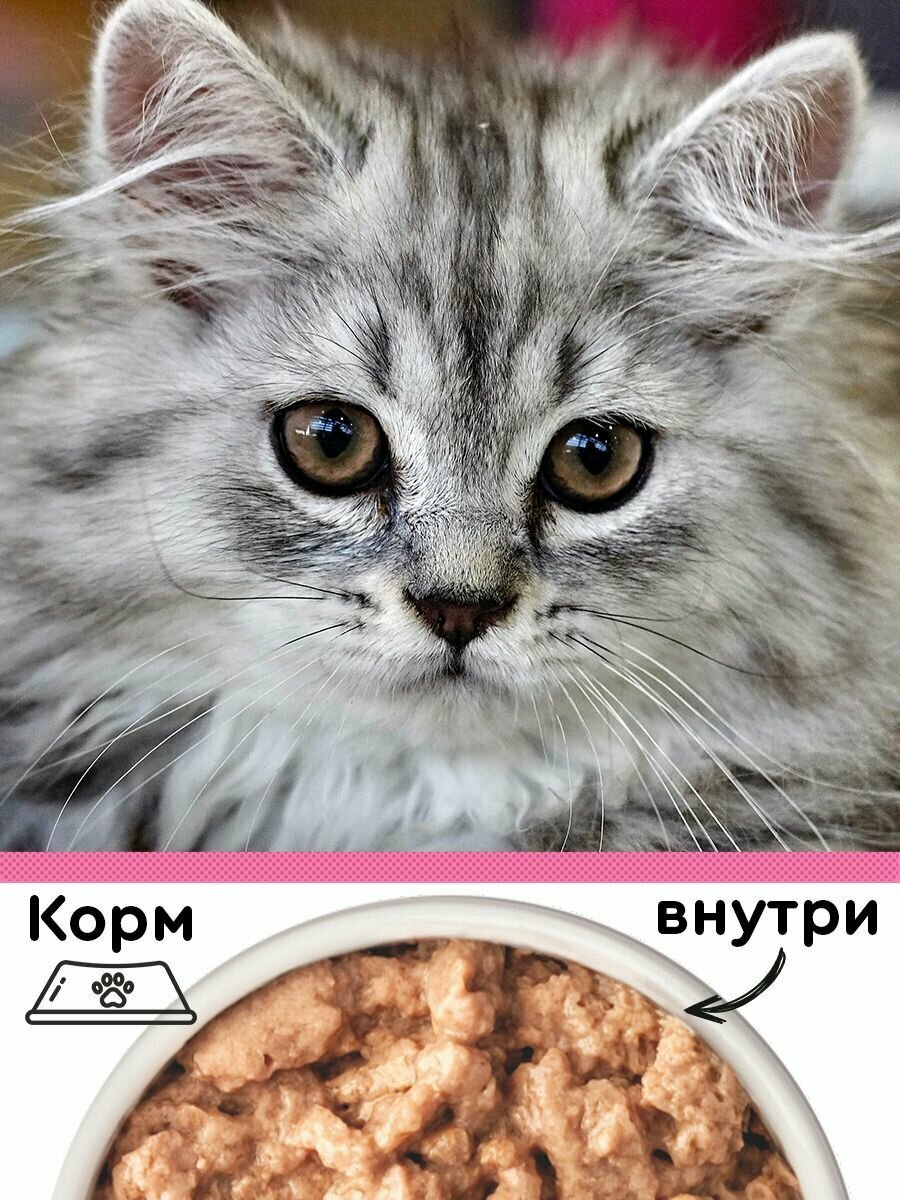 Корм консервированный для котят Четвероногий Гурман "Суфле c телятиной и кроликом", 100 г х 24 шт — фото 1