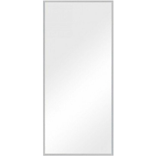 Зеркало Evoform Definite BY 1109 66x146 см сталь