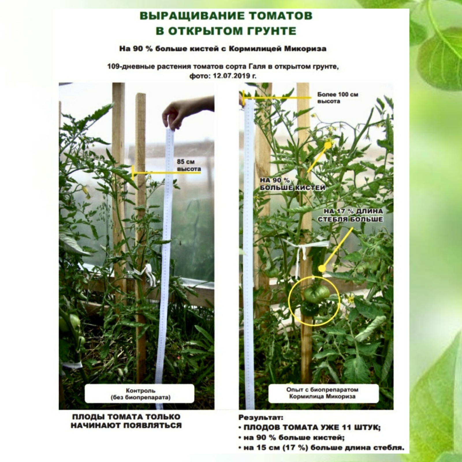 Микориза " Кормилица" - универсальное удобрение для растений, рассады, корней Стимулятор роста защита 10л - фотография № 17