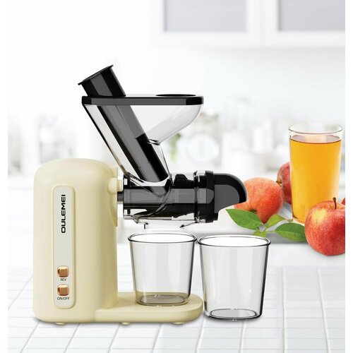 Шнековая соковыжималка Oulemei JS3301 530000₽