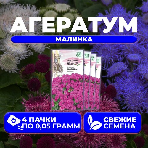 агератум малинка 0 05г гавриш чудесный балкон 4 уп Агератум Малинка, 0,05г, Гавриш, Чудесный балкон (4 уп)