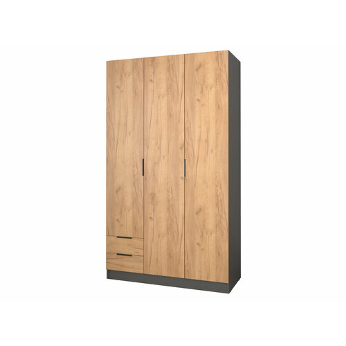 Шкаф распашной Бруно 3.3 Антрацит/Дуб крафт золотой 2100x516x1200 мм