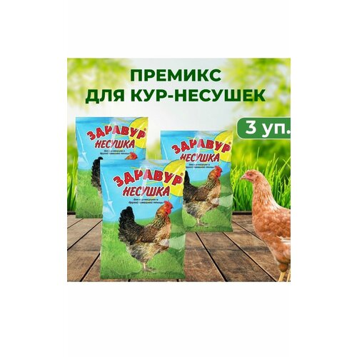 Премикс Здравур Несушка 250 г комплект 3 упаковки ваше хозяйство премикс несушка 600 гр