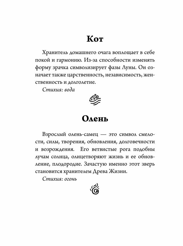 Спроси духа-хранителя. Настольный оракул начинающей ведьмы - фото №19