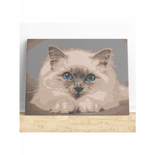 картина по номерам любящий котик 40x50 холст на подрамнике живопись рисование раскраска для детей животные котик кошка Котик