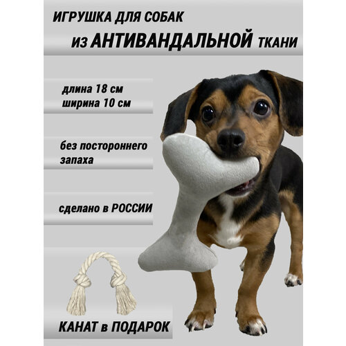 набор игрушек для собак кость рыба кольцо Игрушка для собак мелких и средних пород