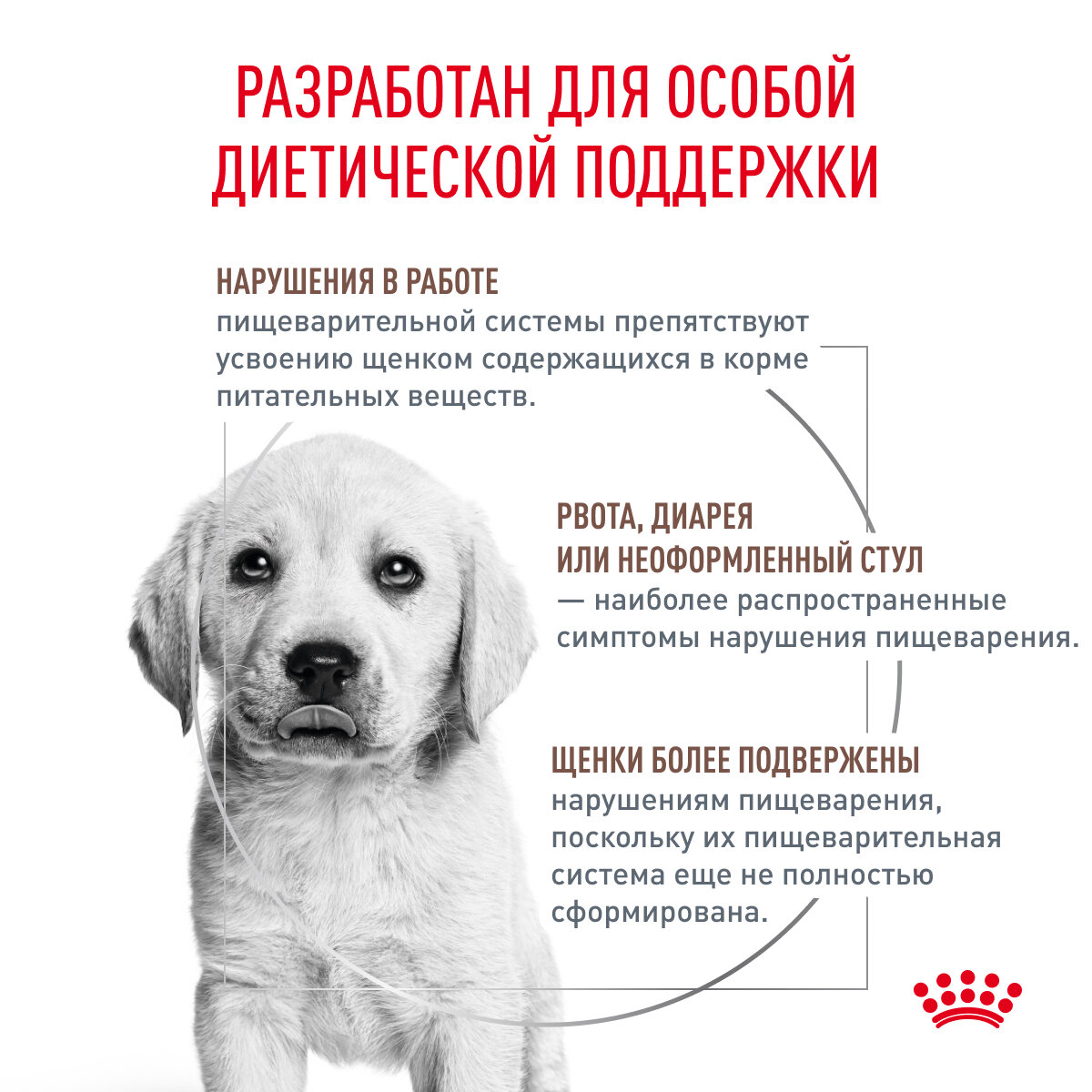 Корм для щенков ROYAL CANIN - фото №4