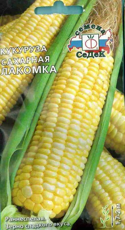 Семена Кукуруза Лакомка сахарная (седек) 5г