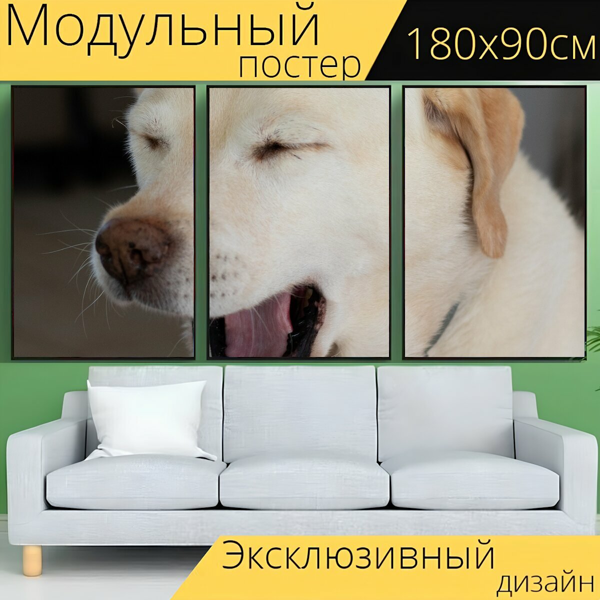 Модульный постер "Лабрадор, лабрадор ретривер, собака" 180 x 90 см. для интерьера